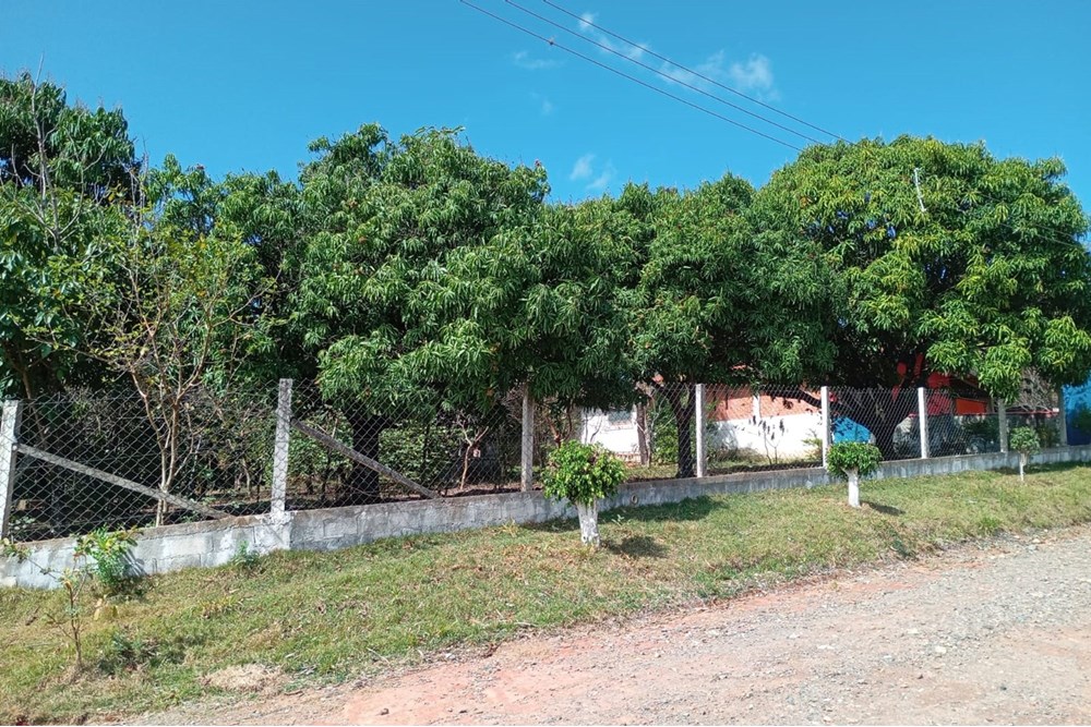 Chácara, 4 quartos, 3000 m² - Foto 11