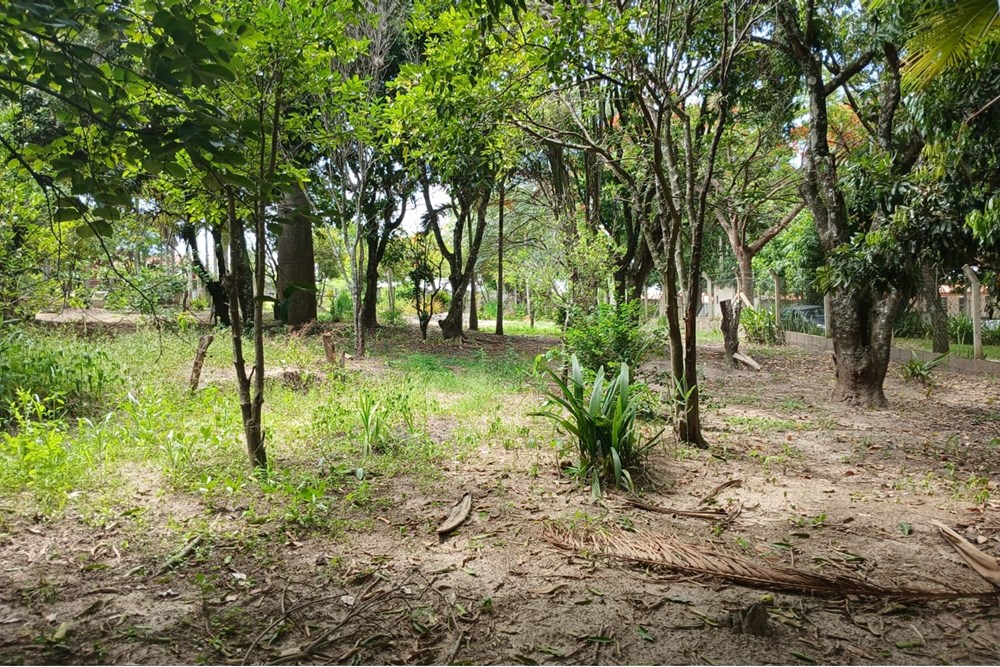 Chácara, 4 quartos, 4270 m² - Foto 66