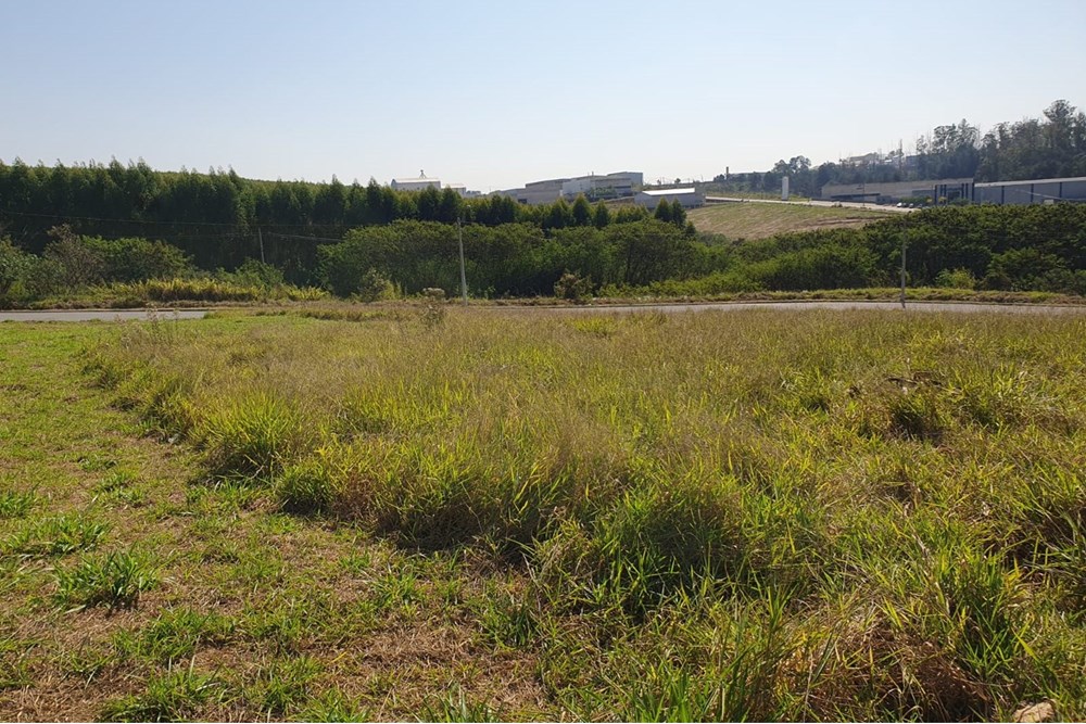 Terreno, 250 m² - Foto 4