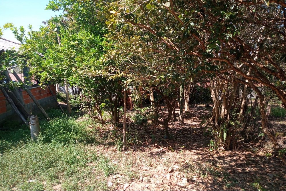 Chácara, 3 quartos, 1000 m² - Foto 26