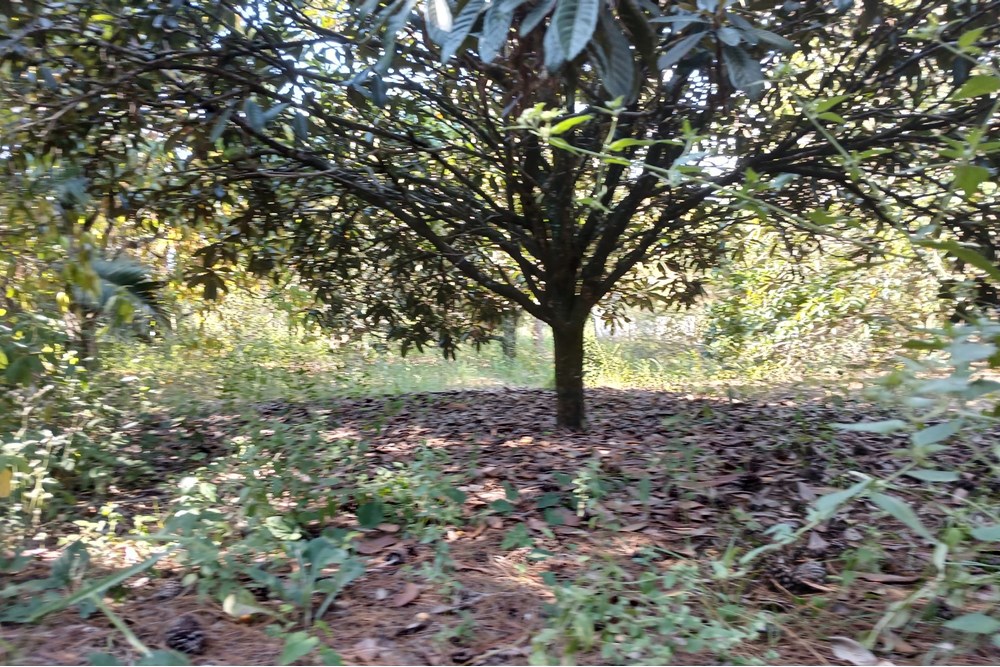 Terreno, 1400 m² - Foto 10