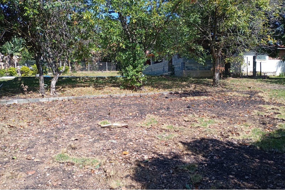 Chácara, 4 quartos, 3000 m² - Foto 46