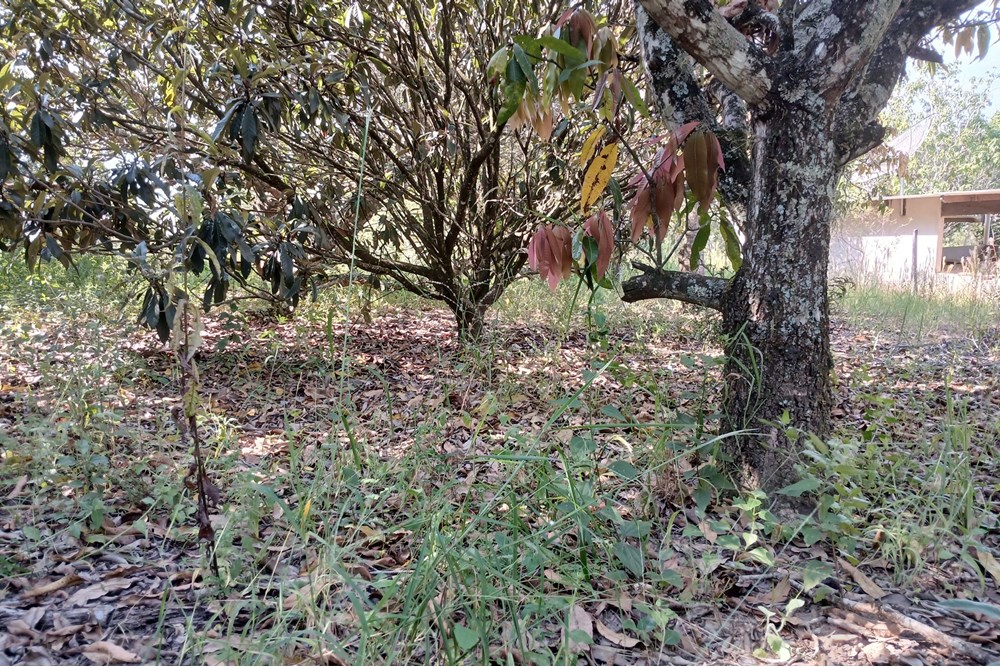 Terreno, 1400 m² - Foto 3