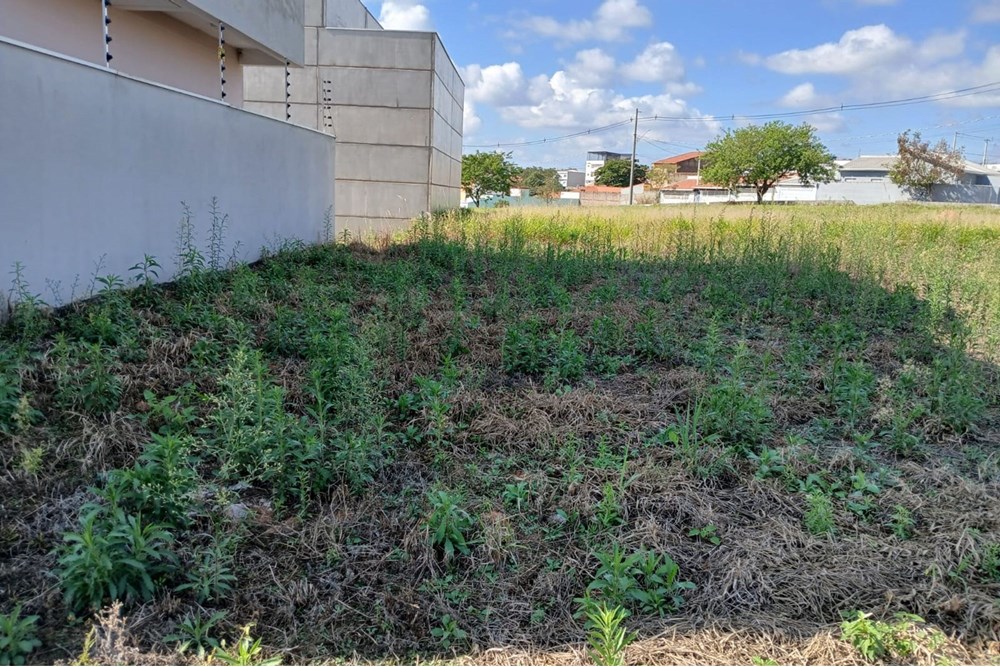 Terreno, 260 m² - Foto 10