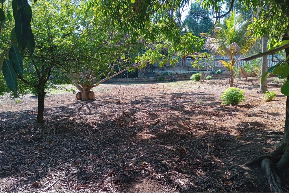 Chácara, 3 quartos, 2465 m² - Foto 50