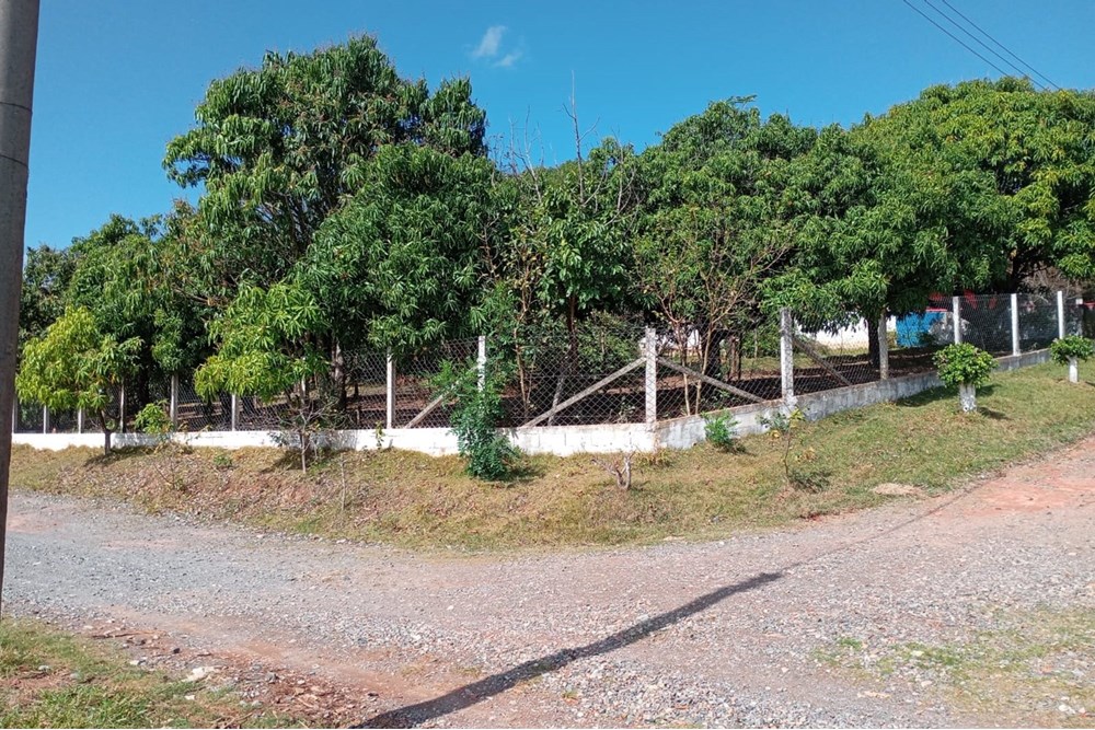 Chácara, 4 quartos, 3000 m² - Foto 13