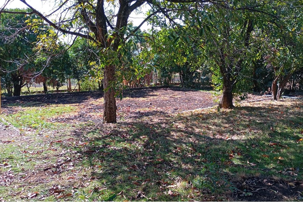 Chácara, 4 quartos, 3000 m² - Foto 43