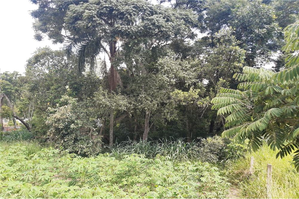 Terreno, 1300 m² - Foto 12