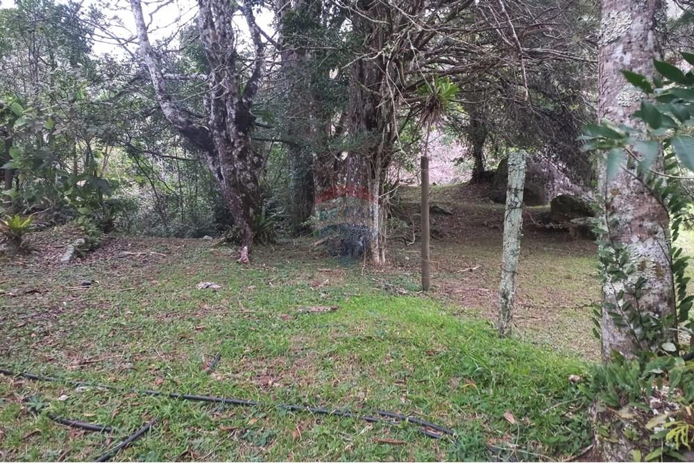 Chácara / Sítio / Fazenda - Venda - Nova Friburgo , Rio de Janeiro - 49087480-fb9a-41e4-b6df-d71e07b067ad.jpg - 630551037-31