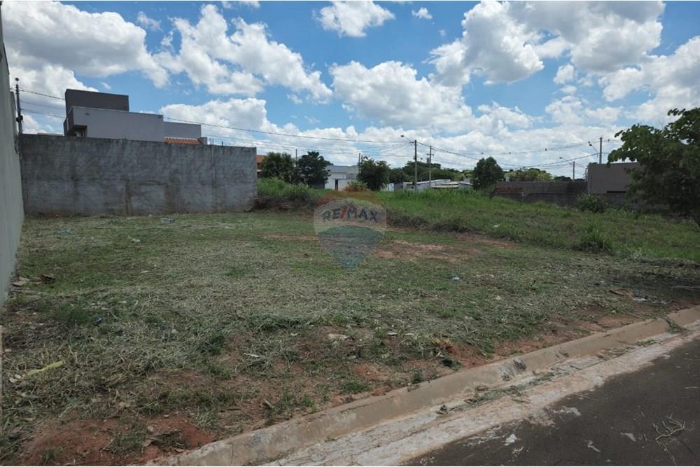 Terreno - Venda - Cedral , São Paulo - WhatsApp Image 2024-11-11 at 15.33.01 (2).jpeg - 631481001-5