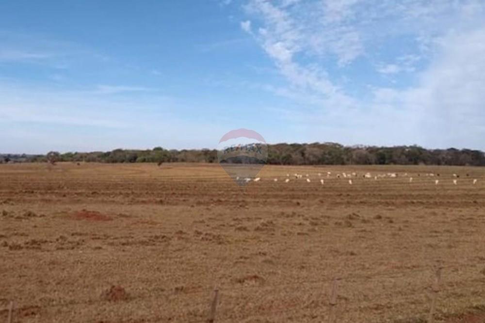 Chácara / Sítio / Fazenda - Venda - Pereira Barreto , São Paulo - WhatsApp Image 2024-11-04 at 19.54.14 (1).jpeg - 630541038-15