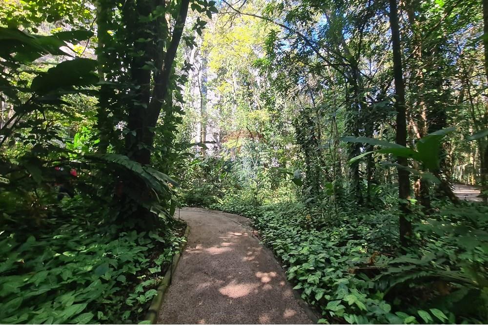 Duplex - Venda - Votorantim , São Paulo - 44.jpeg - 630601220-21