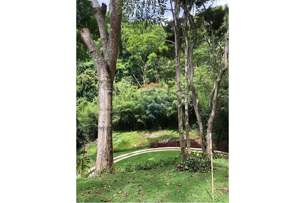 Terreno - Venda - Petrópolis , Rio de Janeiro - WhatsApp Image 2025-10-22 at 06.22.09 (2).jpeg - 630131067-229