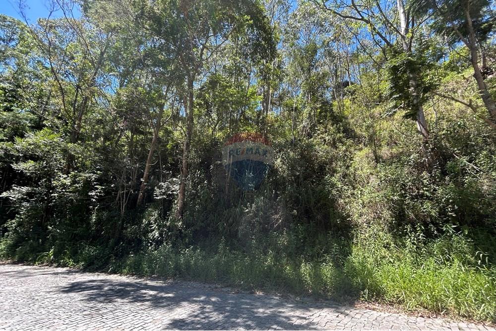 Terreno - Venda - Nova Friburgo , Rio de Janeiro - IMG_6804.JPG - 630551007-319