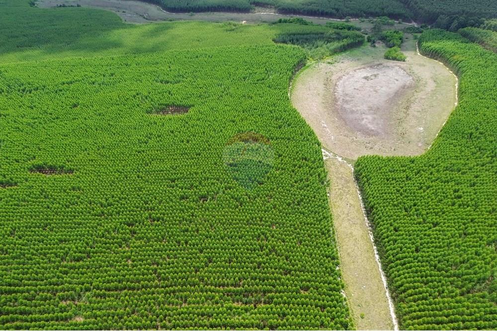 Chácara / Sítio / Fazenda - Venda - Bofete , São Paulo - 6-DJI_0270.jpg - 630481027-104