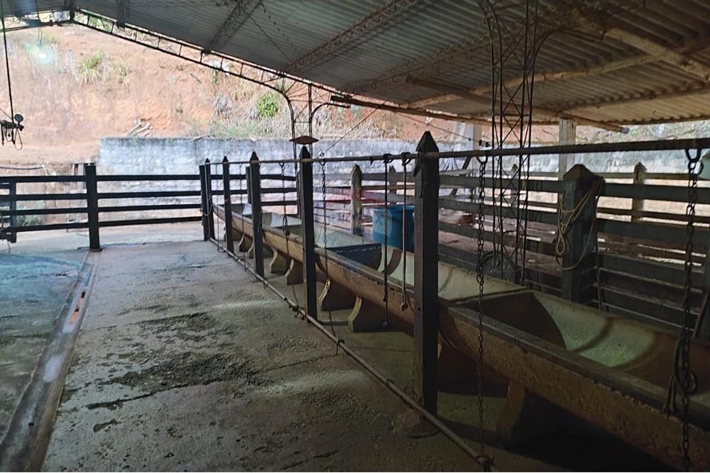 Chácara / Sítio / Fazenda - Venda - Duas Barras , Rio de Janeiro - 38.jpg - 630171001-39