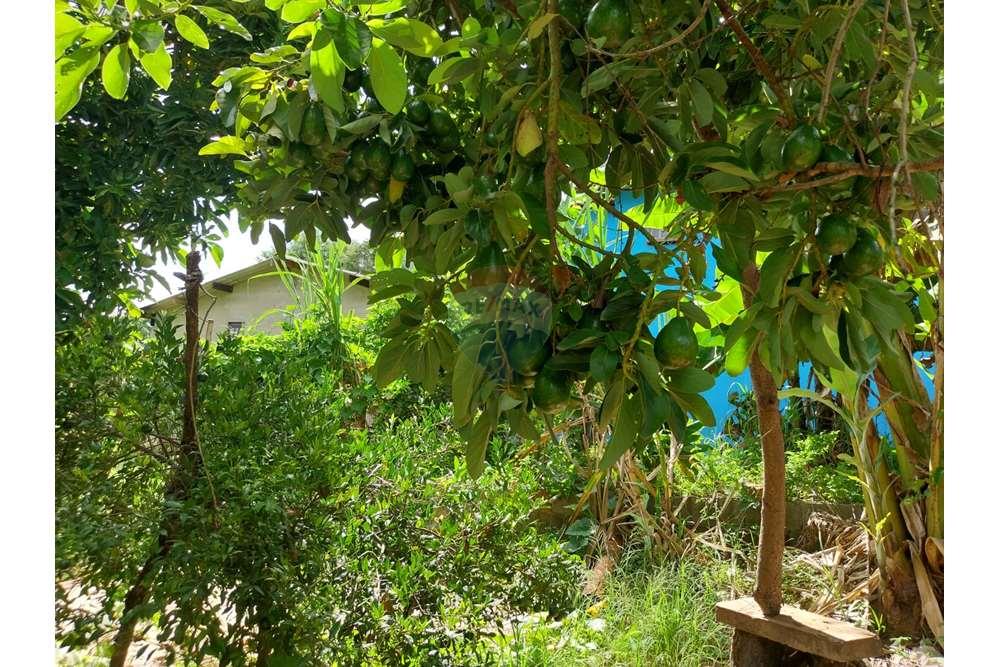 Casa de Campo - Alugar - Salto de Pirapora , São Paulo - WhatsApp Image 2024-04-29 at 12.18.29.jpeg - 631181023-68