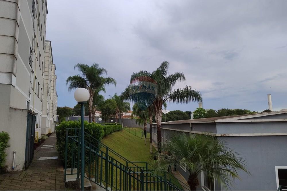 Apartamento - Alugar - Mogi das Cruzes , São Paulo - WhatsApp Image 2025-02-20 at 19.04.43 (1).jpeg - 631251050-2