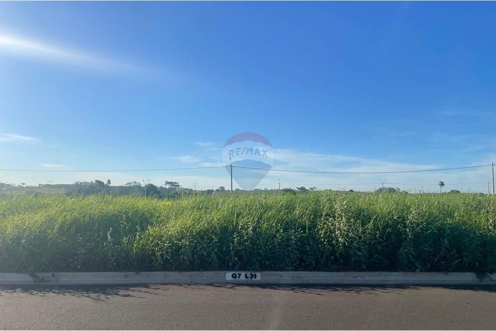 Terreno - Venda - Bady Bassitt , São Paulo - WhatsApp Image 2025-01-14 at 17.41.24.jpeg - 631481002-90