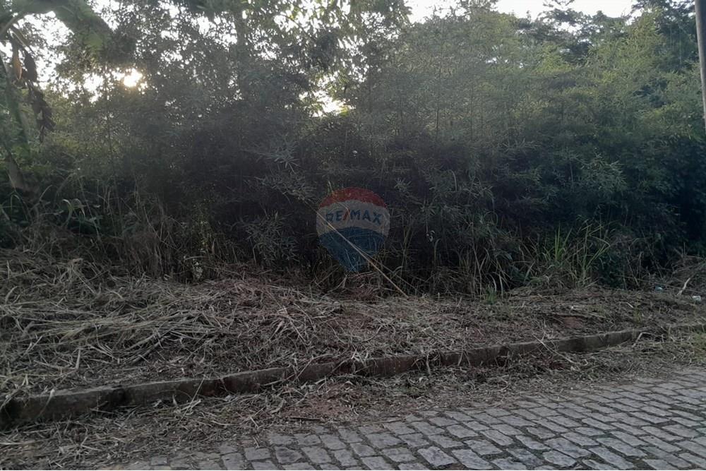 Terreno - Venda - Bom Jardim , Rio de Janeiro - WhatsApp Image 2025-08-21 at 10.21.30 (1).jpeg - 630171008-25