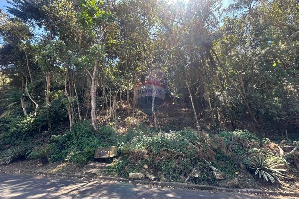 Terreno - Venda - Mairiporã , São Paulo - Imagem do WhatsApp de 2025-09-22 à(s) 14.33.09_41a8e4e8.jpg - 631361005-147