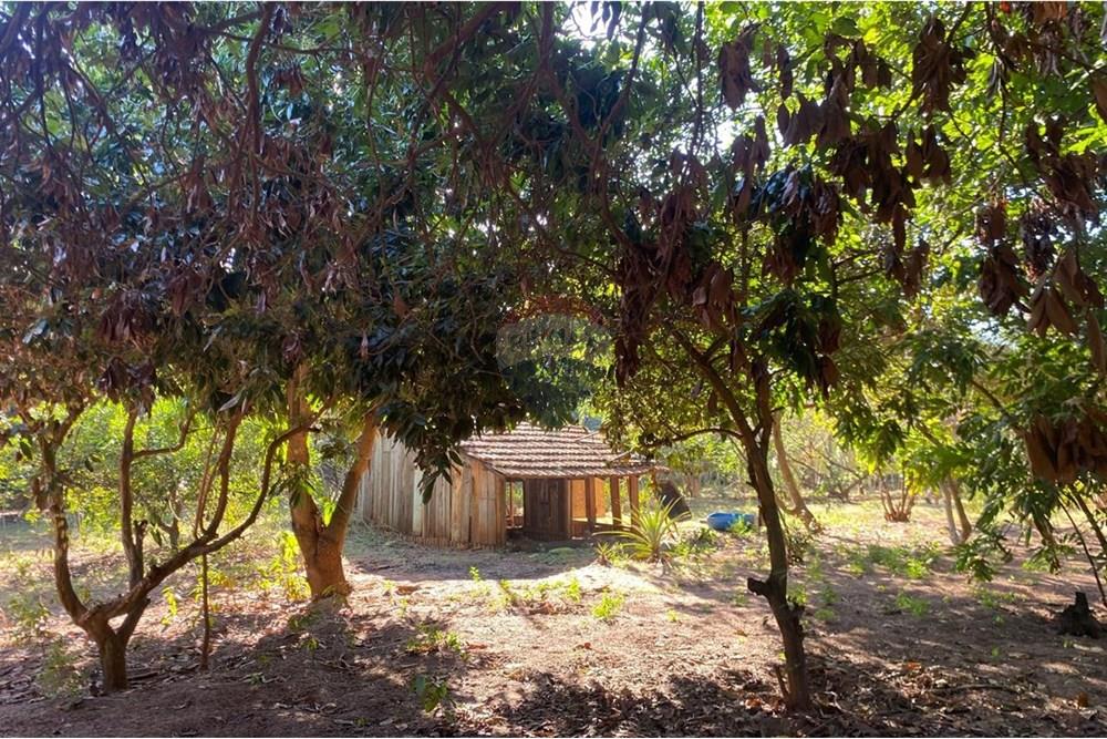 Chácara / Sítio / Fazenda - Venda - Lins , São Paulo - WhatsApp Image 2025-08-12 at 20.28.54 (10).jpeg - 631011037-40