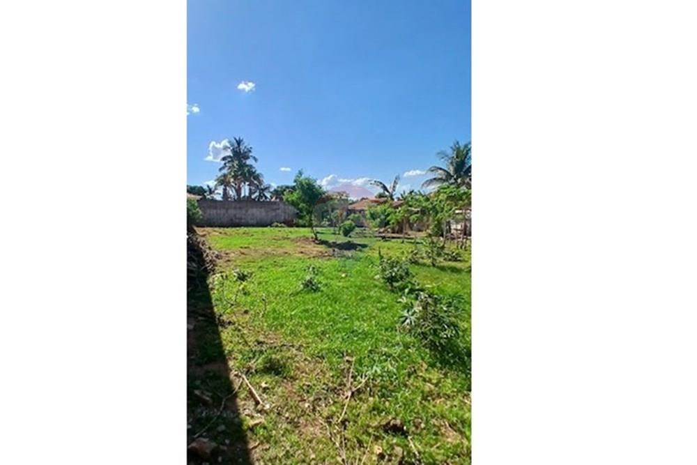 Terreno - Venda - Penápolis , São Paulo - 20241126_155054.jpg - 631191013-95