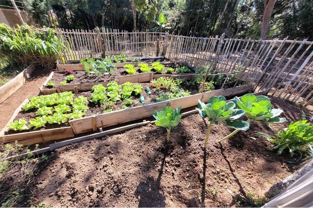 Chácara - Venda - Ibiúna , São Paulo - 25.jpeg - 631331004-46