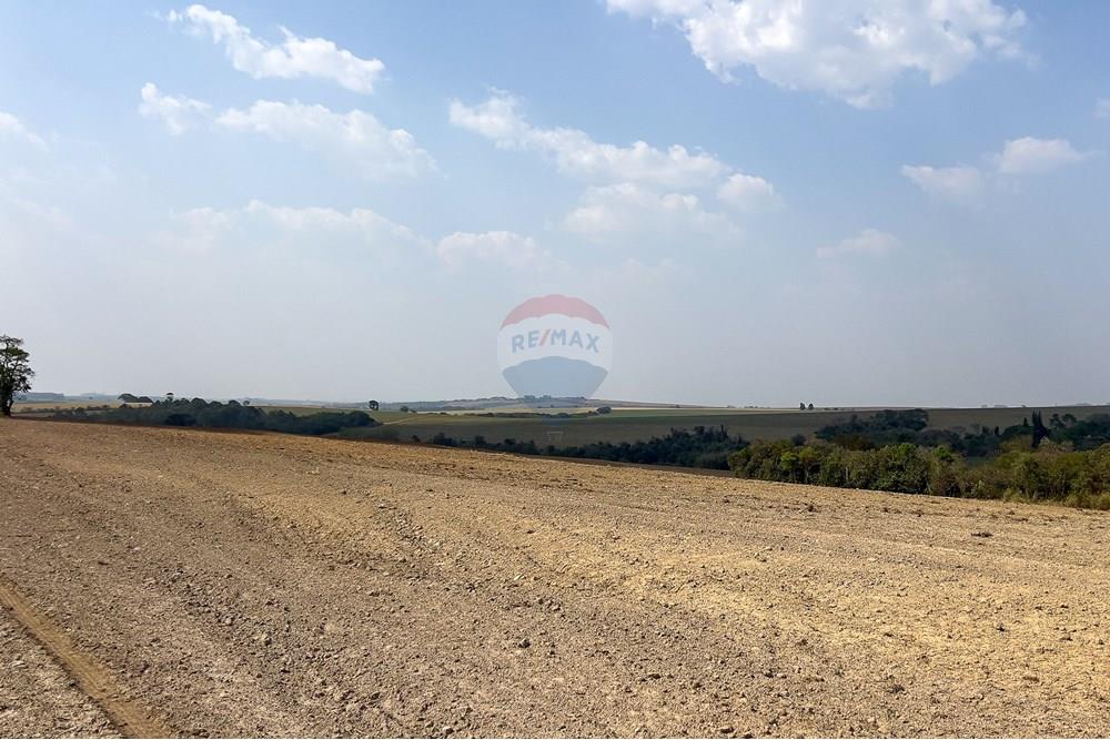 Terreno - Venda - Boituva , São Paulo - IMG_3607_DNG.jpg - 630601137-102