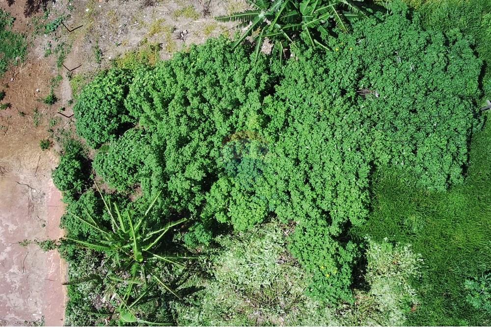 Terreno - Venda - Mairiporã , São Paulo - foto5 (Personalizado).jpg - 631361029-21