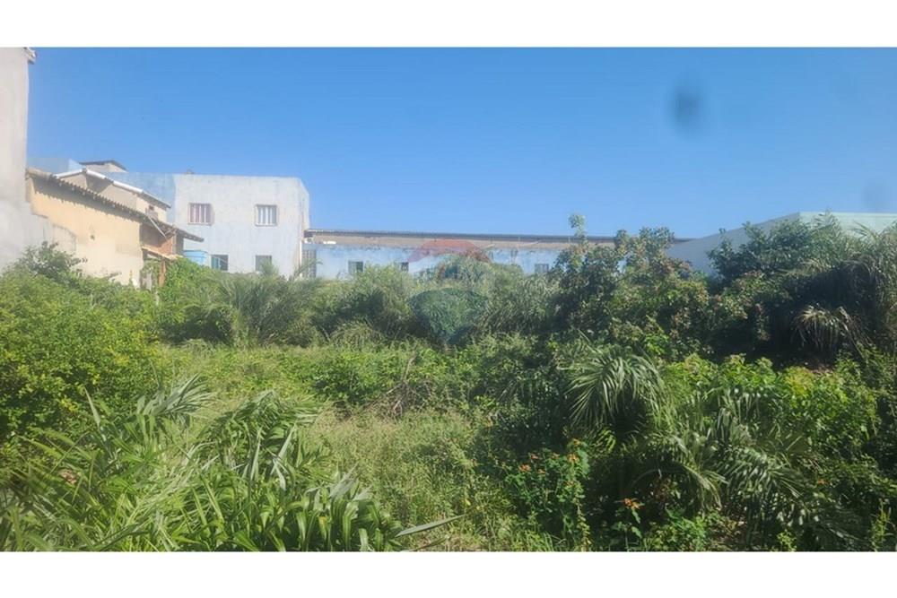 Terreno - Venda - Cabo Frio , Rio de Janeiro - WhatsApp Image 2025-05-22 at 09.36.08.jpeg - 631591023-5