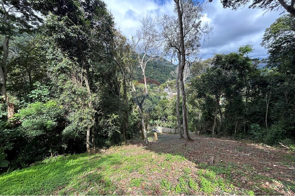 Terreno - Venda - Nova Friburgo , Rio de Janeiro - IMG_0236.JPG - 630551085-21