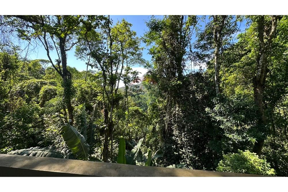 Casa - Venda - Petrópolis , Rio de Janeiro - IMG-20241129-WA0292.jpg - 630131065-19