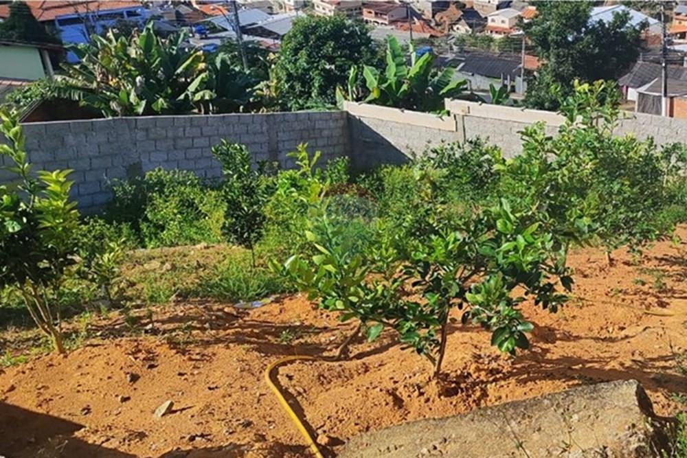 Chácara / Sítio / Fazenda - Venda - Duas Barras , Rio de Janeiro - WhatsApp Image 2025-06-23 at 15.58.39 (2).jpeg - 630171001-49