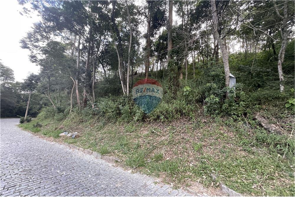 Terreno - Venda - Nova Friburgo , Rio de Janeiro - L_770c69c48e7a46e89165cee8b3bc4d68.jpg - 630551007-314