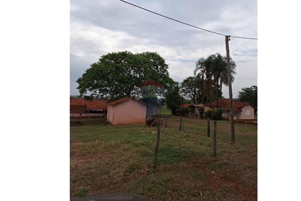 Chácara / Sítio / Fazenda - Venda - Fernandópolis , São Paulo - WhatsApp Image 2024-10-21 at 10.36.51.jpeg - 630541038-16