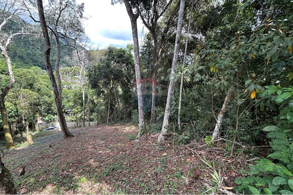 Terreno - Venda - Nova Friburgo , Rio de Janeiro - IMG_0237.JPG - 630551085-21