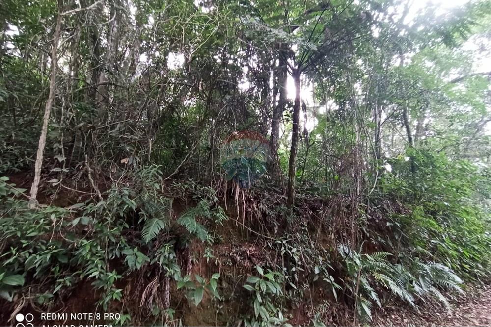 Terreno - Venda - Mairiporã , São Paulo - WhatsApp Image 2025-07-28 at 23.50.15.jpeg - 631361025-37