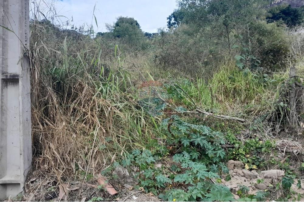Terreno - Venda - Bom Jardim , Rio de Janeiro - WhatsApp Image 2025-07-12 at 11.28.45.jpeg - 630171007-54