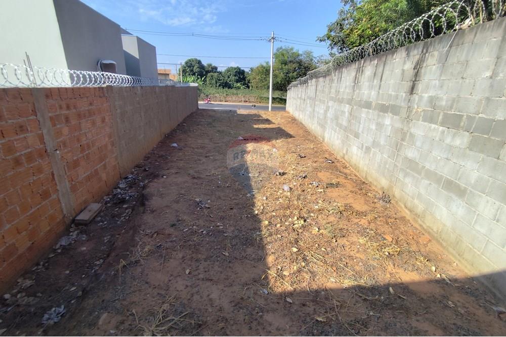 Terreno - Venda - Penápolis , São Paulo - IMG_20250915_160920.jpg - 631191036-2