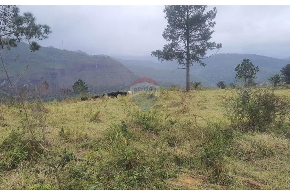 Fazenda - Venda - Teresópolis , Rio de Janeiro - 20250702_154100.jpg - 630191078-25