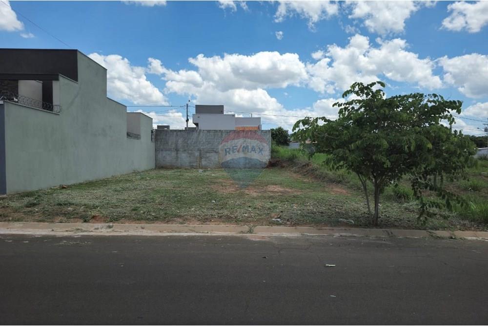 Terreno - Venda - Cedral , São Paulo - WhatsApp Image 2024-11-11 at 15.33.02 (2) - Copia.jpeg - 631481001-5