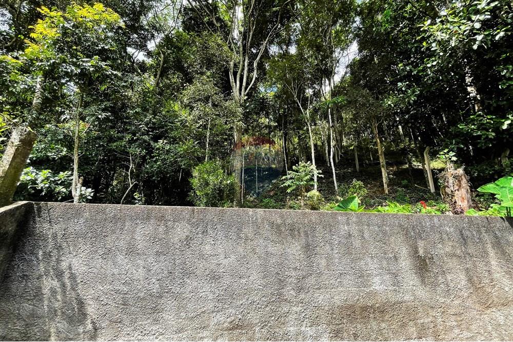 Casa - Venda - Nova Friburgo , Rio de Janeiro - WhatsApp Image 2025-03-27 at 15.31.14.jpeg - 630551081-22