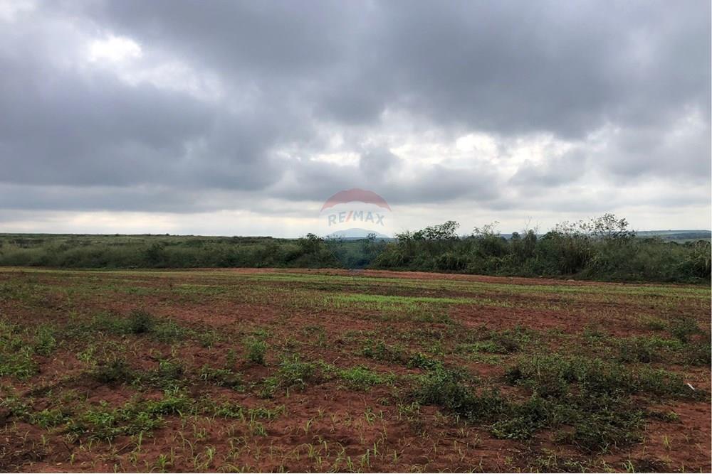 Terreno - Venda - Tupã , São Paulo - IMG-20250723-WA0055.jpg - 630151057-35