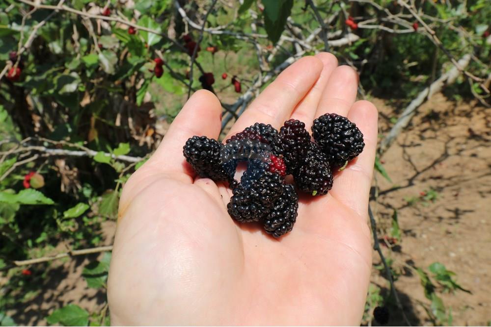 Terreno - Venda - Armação dos Búzios , Rio de Janeiro - IMG_3606.JPG - 630391002-125