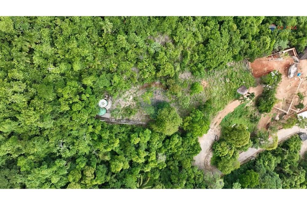 Terreno - Venda - Ilhabela , São Paulo - FOTOS (26).jpg - 630951006-33