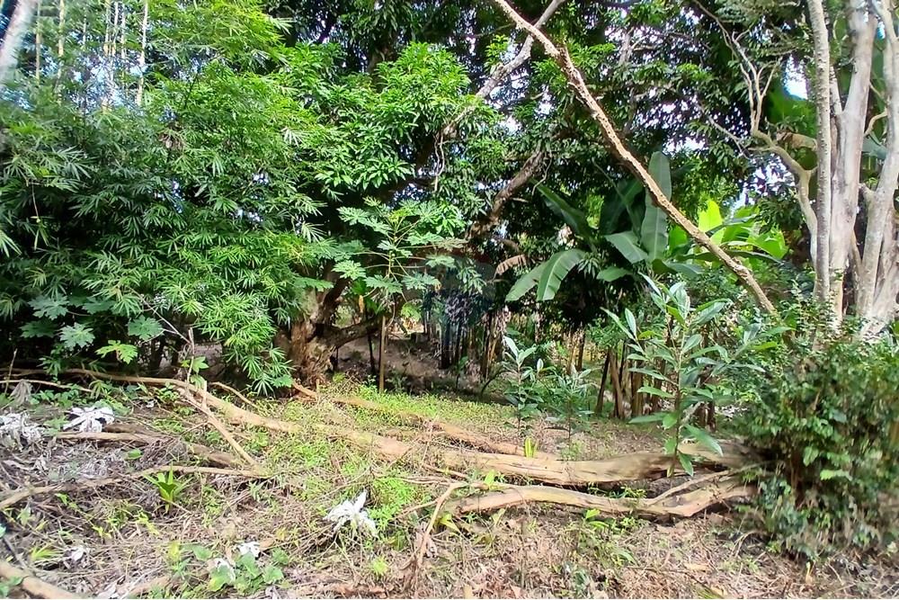 Chácara / Sítio / Fazenda - Venda - Sumidouro , Rio de Janeiro - 20250614_114533.jpg - 630551084-18