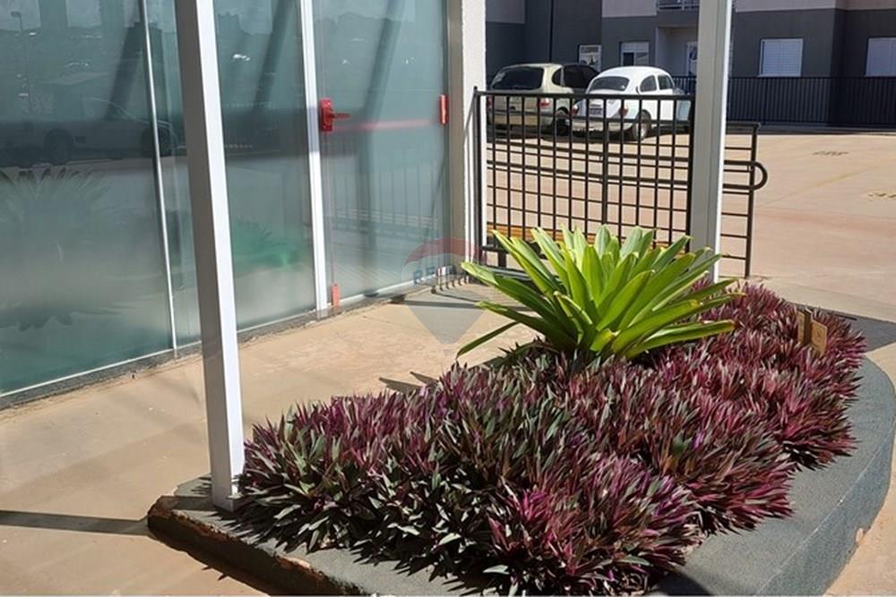 Apartamento - Venda - Botucatu , São Paulo - 20250327_143603.jpg - 630481064-42