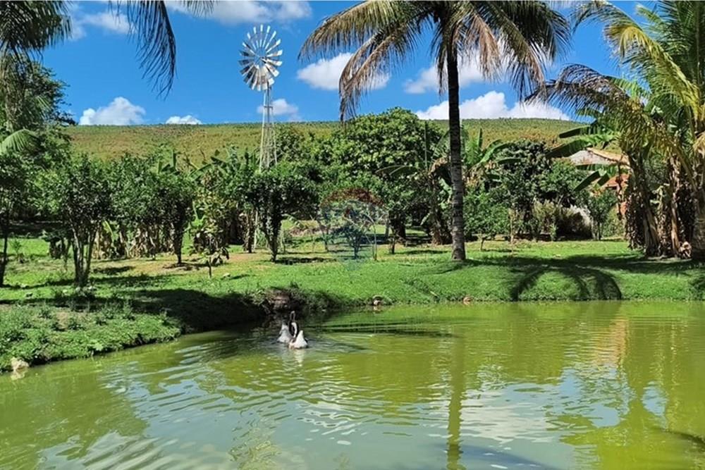 Chácara / Sítio / Fazenda - Venda - Rio Bonito , Rio de Janeiro - WhatsApp Image 2025-09-22 at 14.45.51 (1).jpeg - 631351026-2