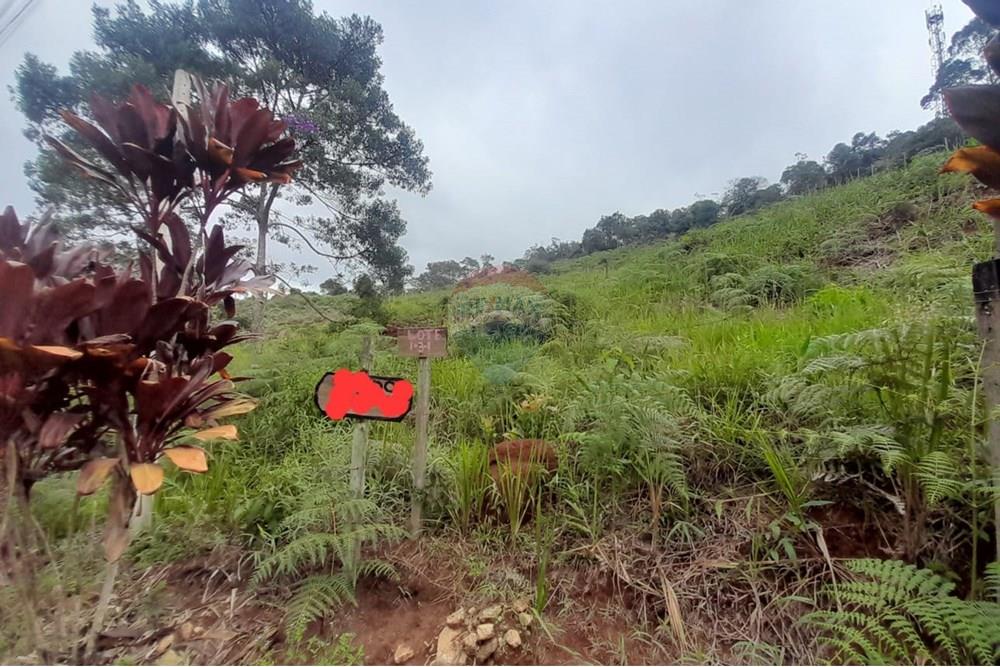 Terreno - Venda - Teresópolis , Rio de Janeiro - c0f6142c-1966-4c4b-abee-4da344b30182.jpg - 630191084-11